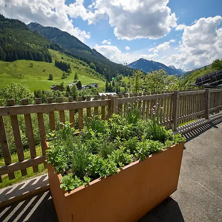 Drei Hittn Apartment *