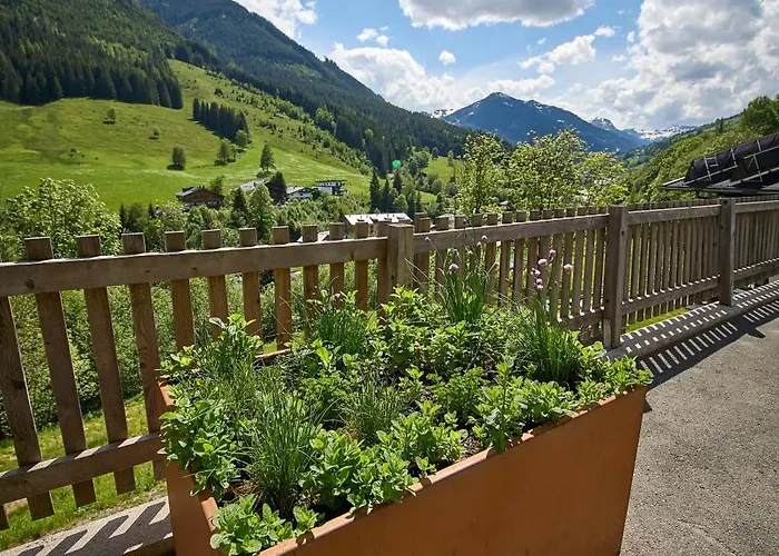 Drei Hittn Apartment *